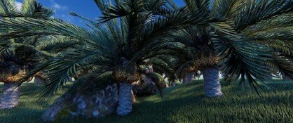 poda-de-palmeras-00.jpg