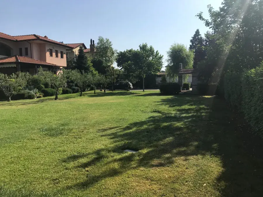 Desbroce de parcela con vegetación alta en Madrid