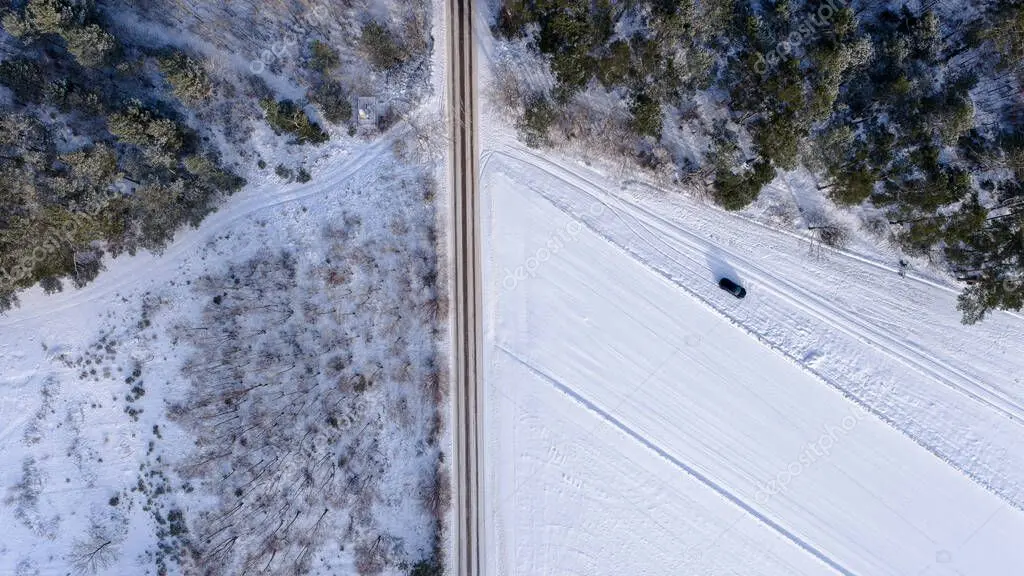 Camino de acceso a finca limpio tras un desbroce profesional