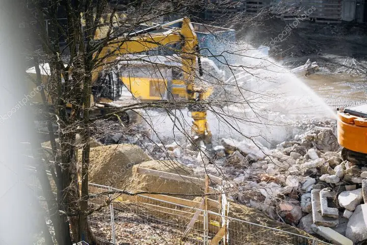 Tala de árboles enfermos en patio comunitario