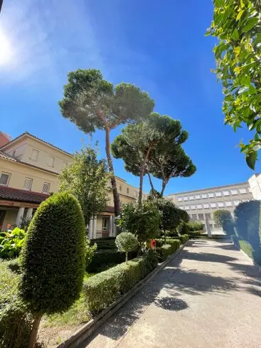 Taladores y popdadores de árboles en altura