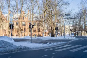 Tala controlada de árbol junto a una calle en la Comunidad de Madrid